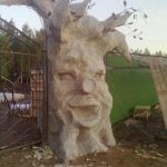 Vadim, meșterul care sculptează natura2