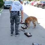 Activ Constanta (12)