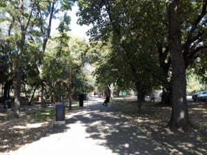 Atunci când primește prieteni din Japonia, Rin îi duce să vadă parcurile din București