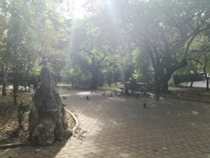 Toți străinii care locuiesc în București laudă parcurile din Capitală