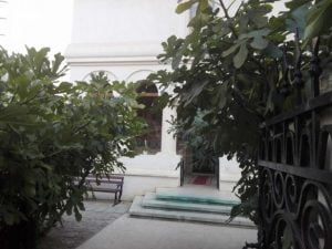 The gate of the worship place is guarded by two fig trees