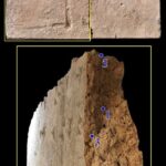 The-clay-brick-from-which-the-samples-derived-Pictures-of-the-clay-brick-from-the