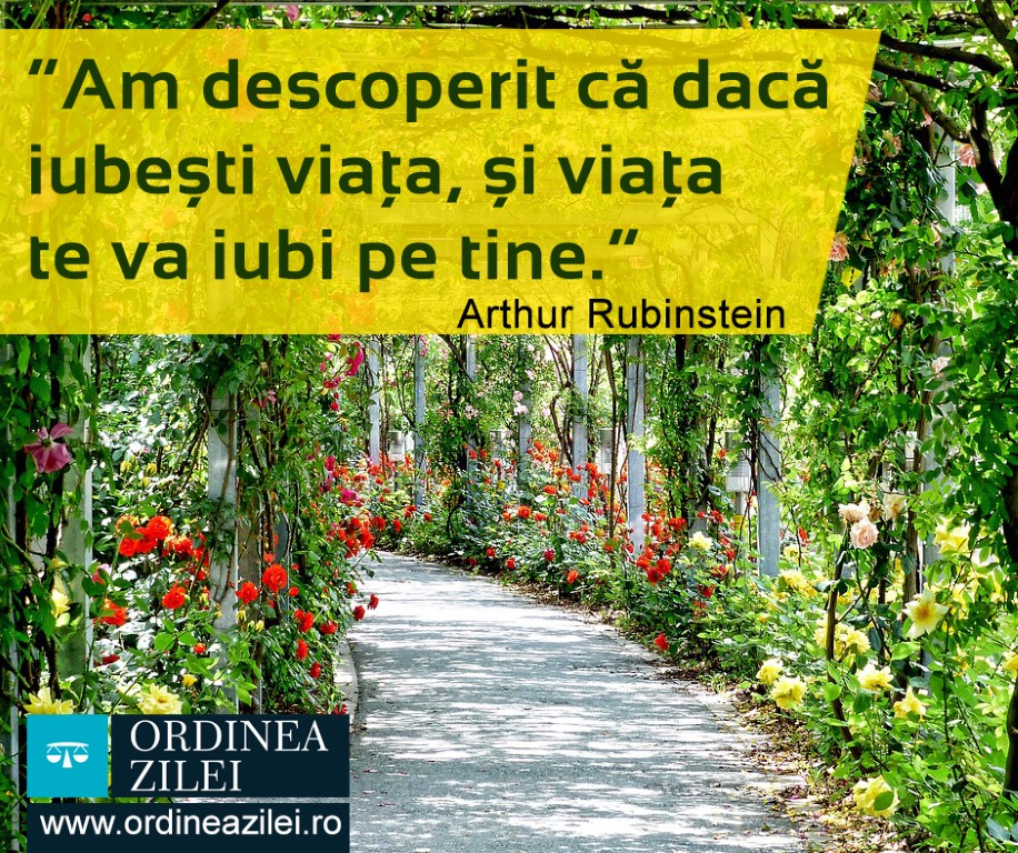 CITATUL ZILEI. Am descoperit că dacă iubești viața, și viața te va iubi pe tine