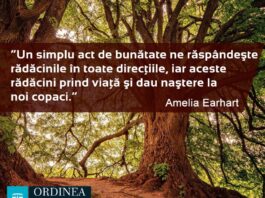 CITATUL ZILEI. Un simplu act de bunătate ne răspândește rădăcinile în toate direcțiile, iar aceste rădăcini prind viață și dau naștere la noi copaci