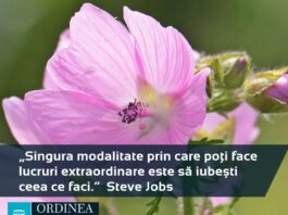 CITATUL ZILEI. Singura modalitate prin care poți face lucruri extraordinare este să iubești ceea ce faci