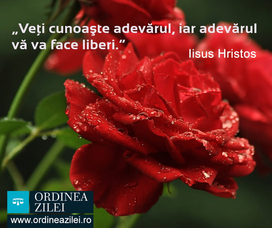 CITATUL ZILEI. Veți cunoaște adevărul, iar adevărul vă va face liberi