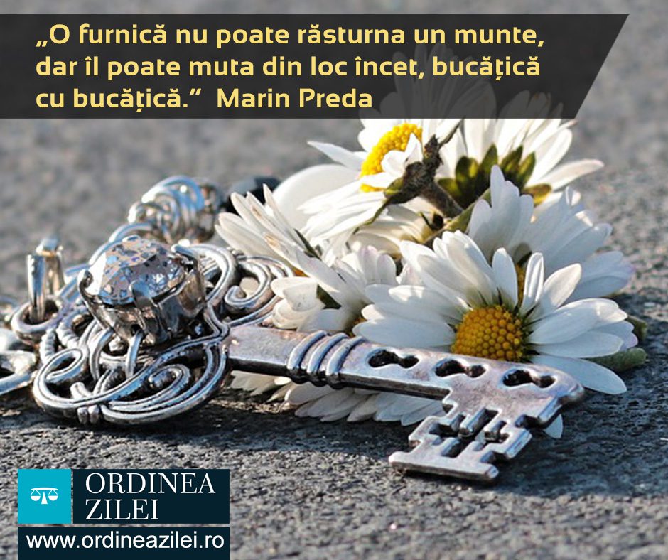 CITATUL ZILEI. O furnică nu poate răsturna un munte, dar îl poate muta din loc încet, bucăţică cu bucăţică