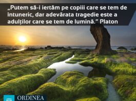 CITATUL ZILEI. Putem să-i iertăm pe copiii care se tem de întuneric, dar adevărata tragedie este a adulților care se tem de lumină