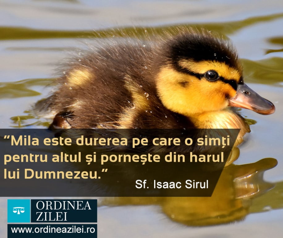 CITATUL ZILEI. Mila este durerea pe care o simți pentru altul și pornește din harul lui Dumnezeu