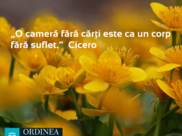 CITATUL ZILEI. O cameră fără cărți este ca un corp fără suflet