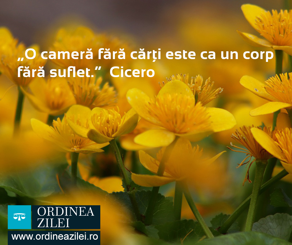 CITATUL ZILEI. O cameră fără cărți este ca un corp fără suflet