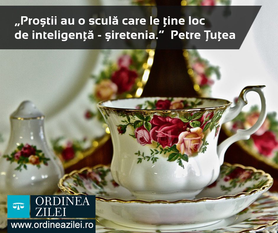 CITATUL ZILEI. Proștii au o sculă care le ține loc de inteligență – șiretenia