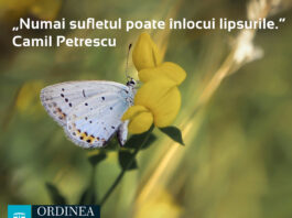 CITATUL ZILEI. Numai sufletul poate înlocui lipsurile