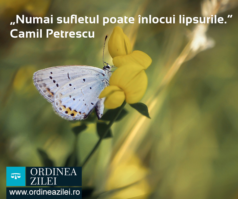 CITATUL ZILEI. Numai sufletul poate înlocui lipsurile