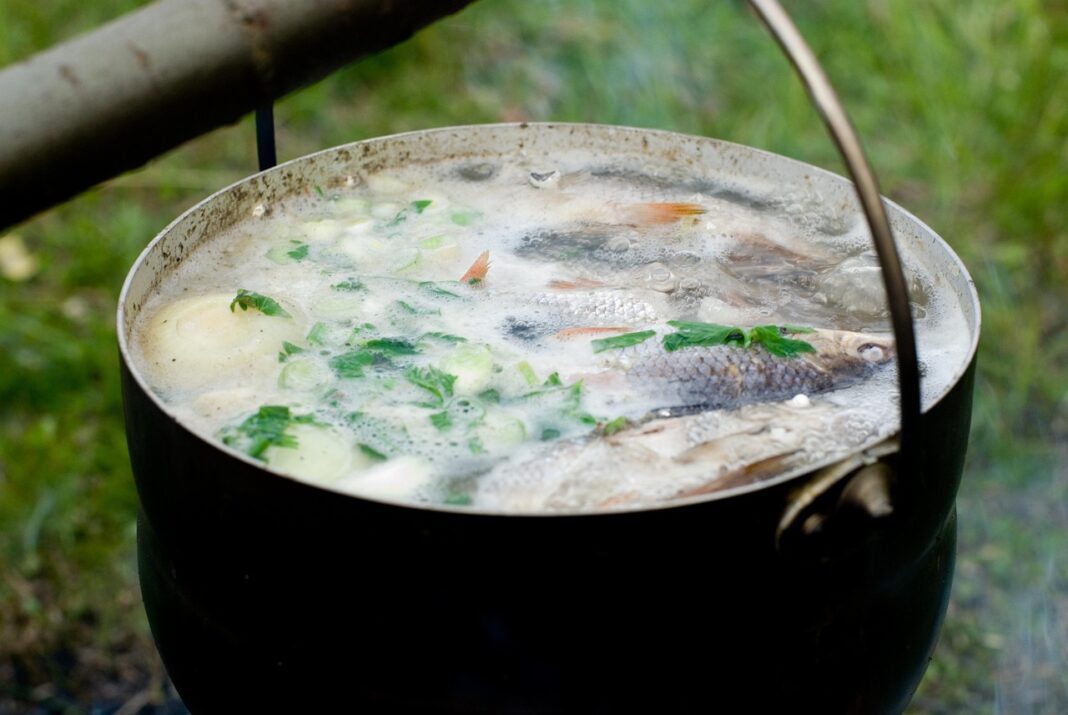 Peștele rasol este un preparat sănătos și foarte gustos