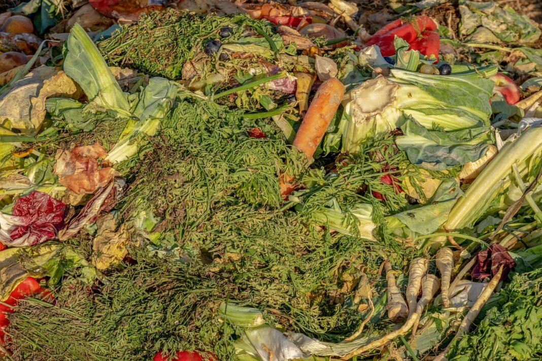 Risipa alimentară ajunge la 650,7 miliarde de euro într-un an