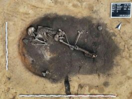 Cercetătorii sunt de părere că mormântul aparține culturii Corded Ware, un grup important din neoliticul târziu care s-a răspândit în mare parte a Europei între aproximativ 2900 și 2050 î.Hr.