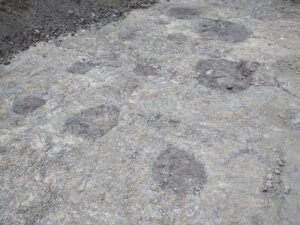 Găuri de stâlpi ai unor case medievale din lemn descoperite în așezarea pierdută Echene