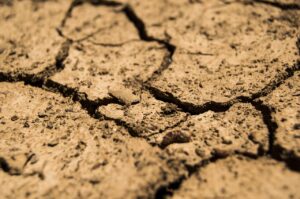 În următoarele luni, anumite regiuni ale planetei se vor confrunta cu episoade de secetă severă