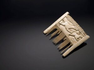 Pieptenele din fildeș a fost descoperit în 2017 în timpul săpăturilor de la Holsterburg, un castel medieval octogonal din districtul Höxter.